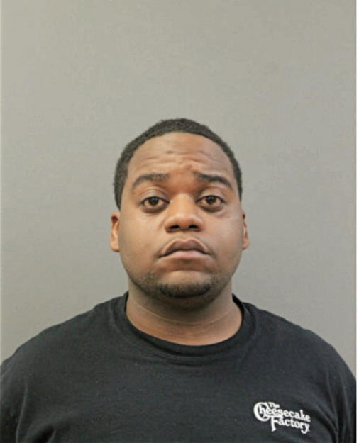 DENZEL C HENIGAN, Cook County, Illinois