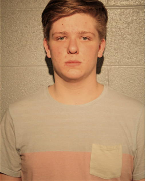 LUCAS J HOFFMAN, Cook County, Illinois