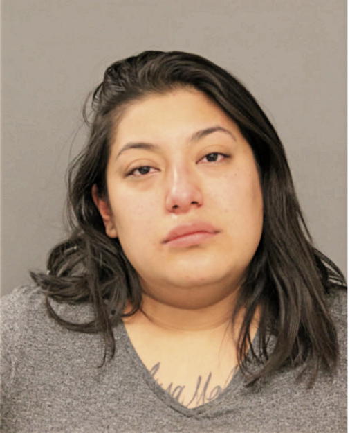 REYNA J LOPEZ, Cook County, Illinois