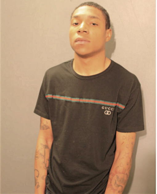 PHILLIPE L MARTIN, Cook County, Illinois