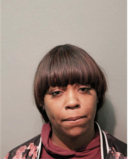 ERICA N MCGHEE, Cook County, Illinois