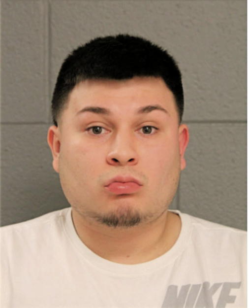 MORALES M MICHAEL, Cook County, Illinois