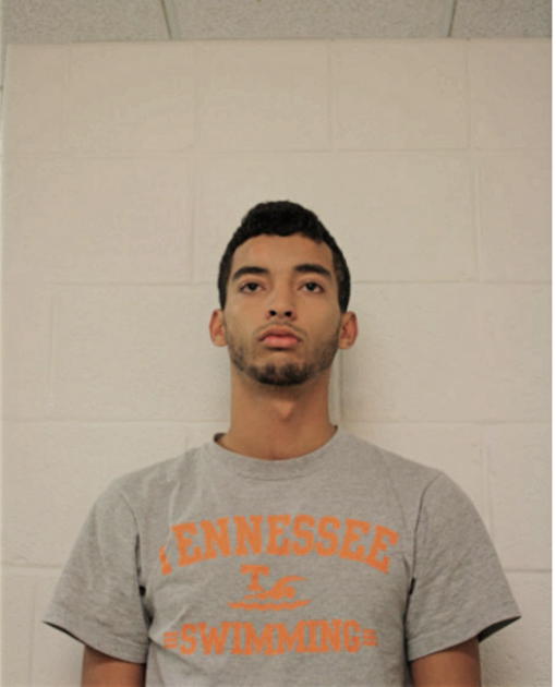 SALAHEDDINE RAHIOUI, Cook County, Illinois
