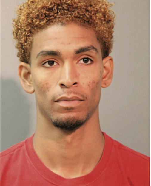 JOSEPH C REED, Cook County, Illinois