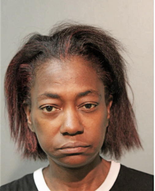 TANYA N SNEAD, Cook County, Illinois