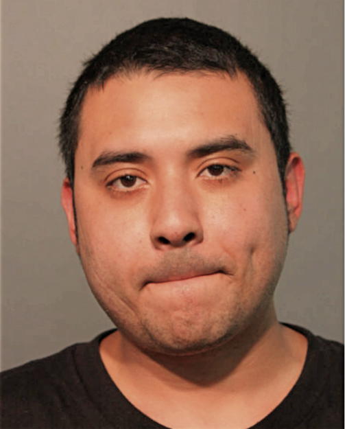JULIAN A UNDDA, Cook County, Illinois