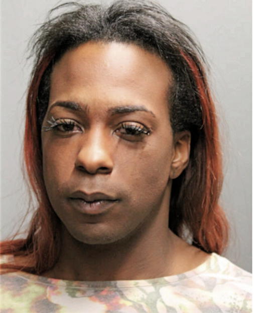 BRANDON L WILLIAMS, Cook County, Illinois