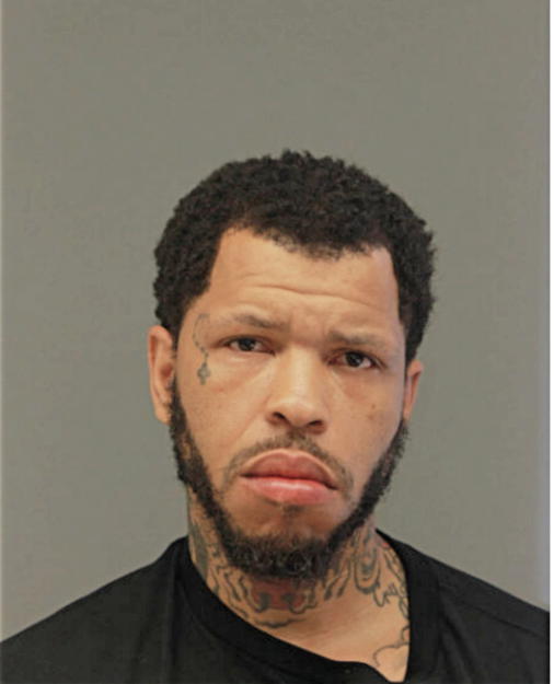 DAVID M WOODS, Cook County, Illinois