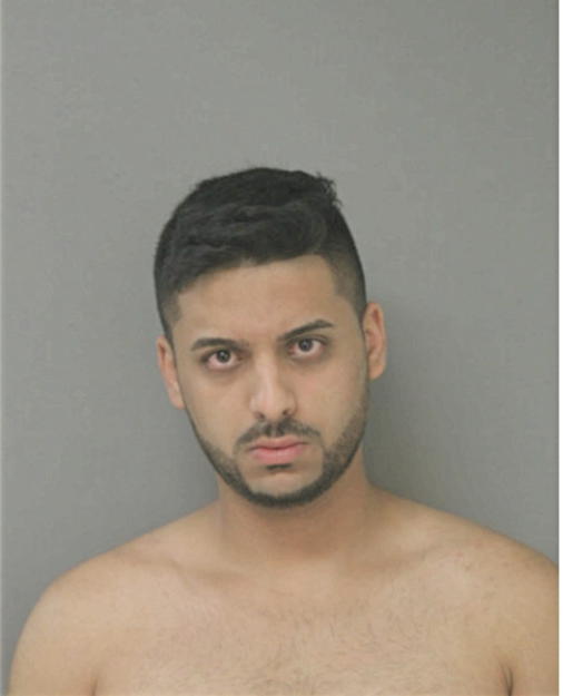 RAZA H ZAIDI, Cook County, Illinois