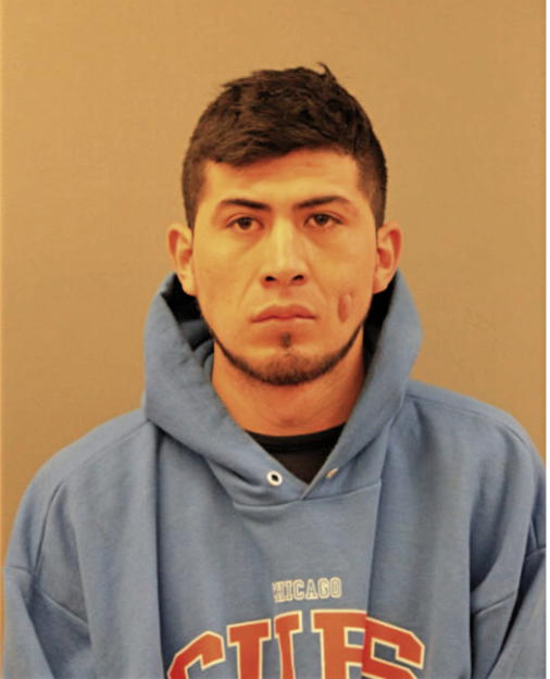 HELEONORO ALMAZAN, Cook County, Illinois