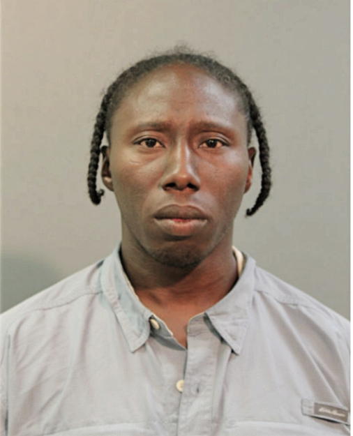 MICHAEL ANDERSON, Cook County, Illinois