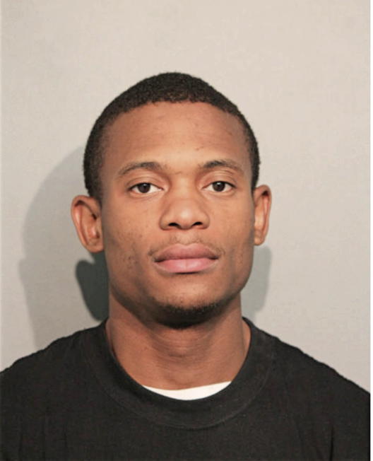STEPHAN DE ANDRE SANDER, Cook County, Illinois