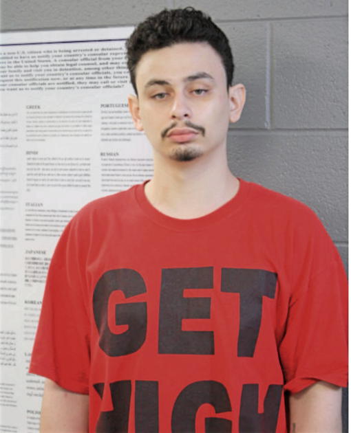 NATHAN R ARROYO, Cook County, Illinois