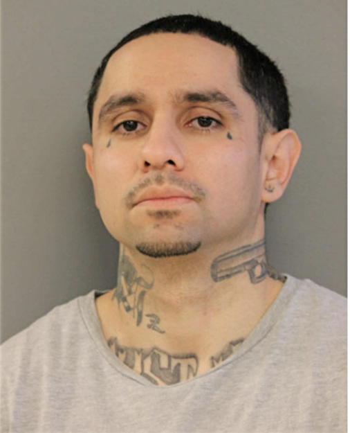 LUIS F CONTRERAS, Cook County, Illinois