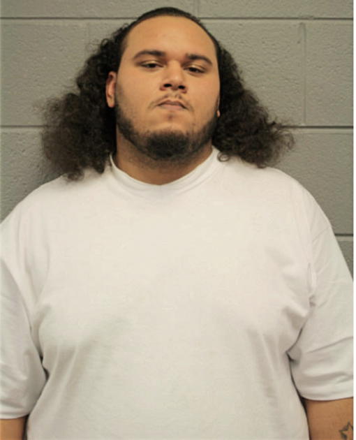BRANDON K CUNNINGHAM, Cook County, Illinois