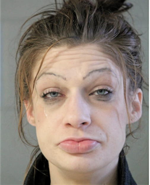 SARAH S ESPOSITO, Cook County, Illinois