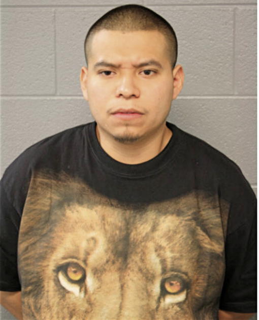 JUAN O FERNANDEZ, Cook County, Illinois