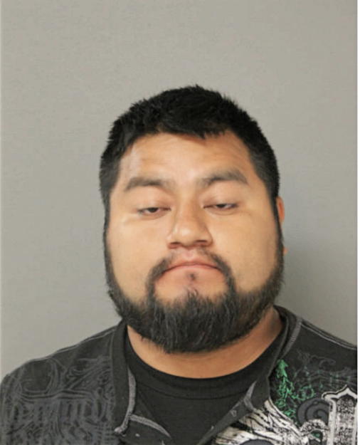 VICENTE FERNANDEZ, Cook County, Illinois