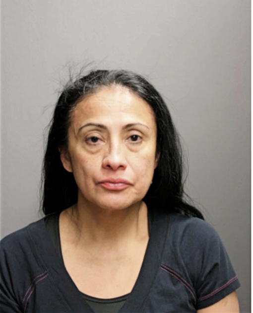 SILVIA M FIALLO, Cook County, Illinois