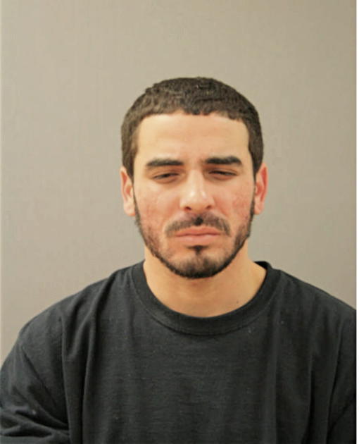 LUIS E FUENTES CATALA, Cook County, Illinois