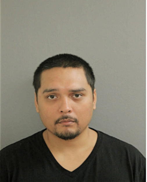 VINCENT M GONZALES, Cook County, Illinois
