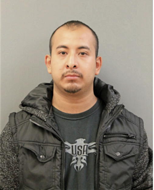 NELSSON GUTIERREZ, Cook County, Illinois