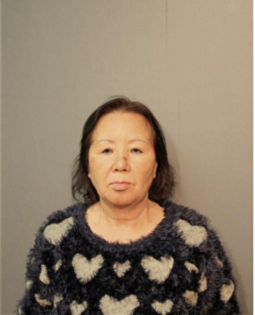 AN SUN LEE, Cook County, Illinois
