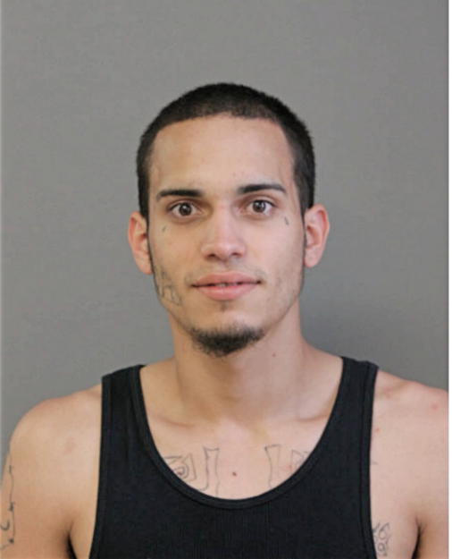 DANIEL J MONTALVO, Cook County, Illinois