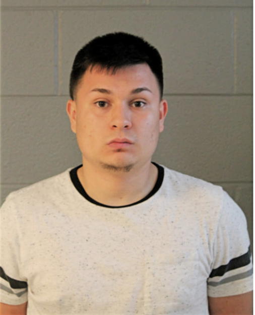 MICHAEL M MORALES, Cook County, Illinois