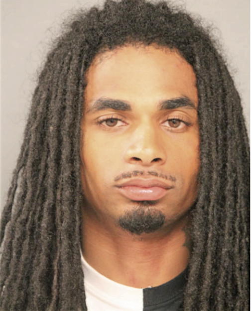 LEN W MOSES, Cook County, Illinois