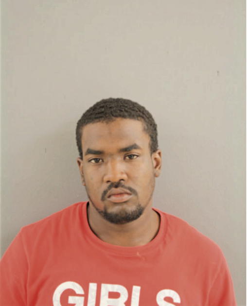 RAPHAEL L POLK, Cook County, Illinois