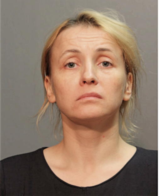 DAIVA SANDANAVICIUTE, Cook County, Illinois