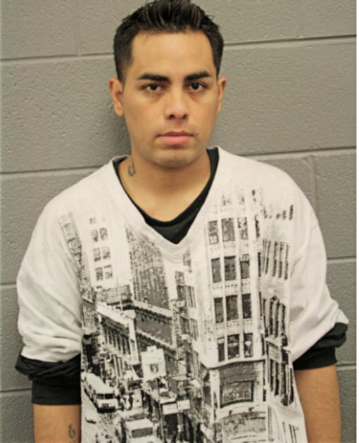 MISAEL SANTILLAN, Cook County, Illinois