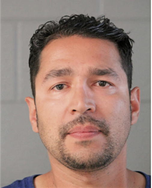 DOMINIC T SEROPIAN, Cook County, Illinois