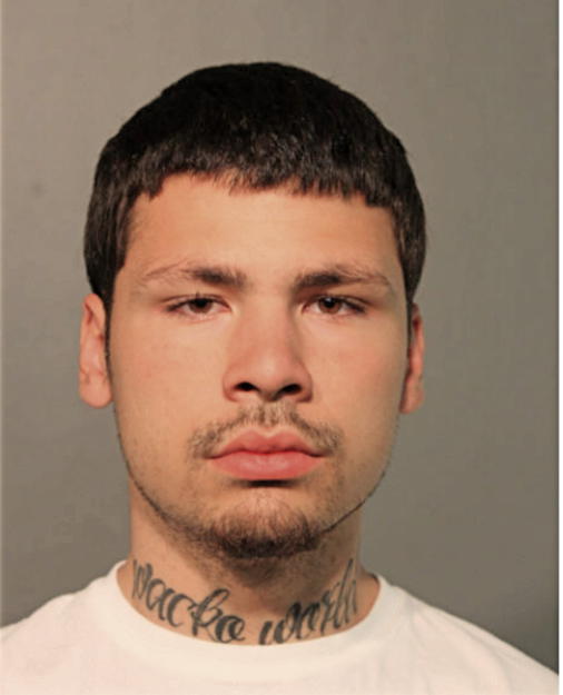 JUSTIN J VENTURA, Cook County, Illinois