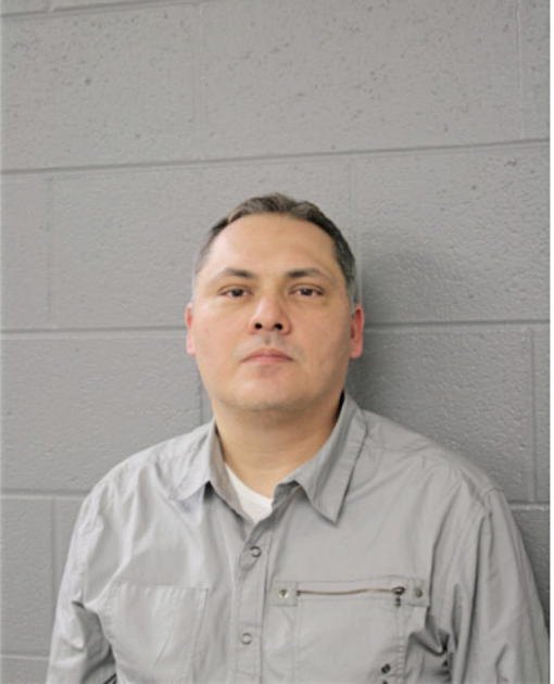 LUIS J ALARCON, Cook County, Illinois