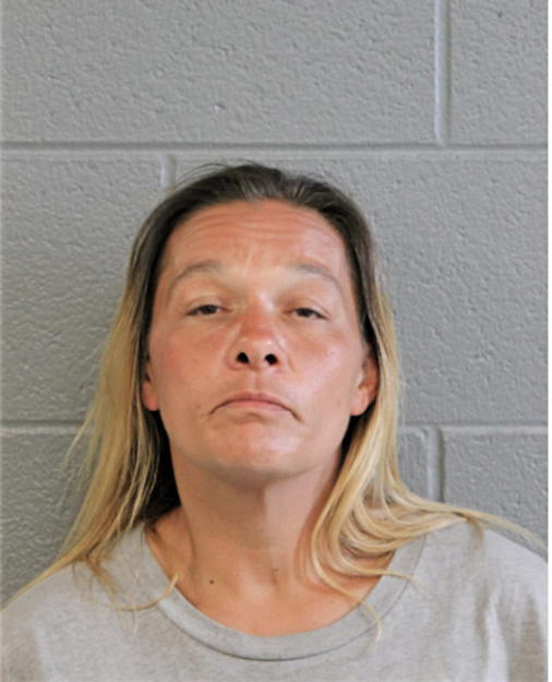 LISA A ARTEAGA, Cook County, Illinois