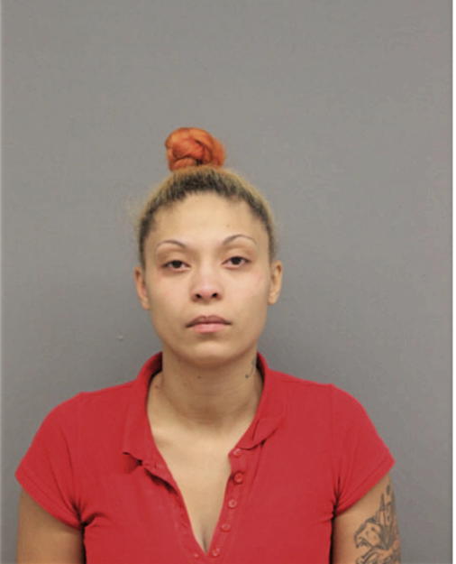 ERICA J BOONE, Cook County, Illinois