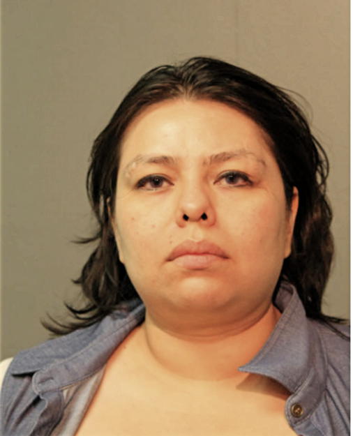 ADRIANA E CHAVEZ, Cook County, Illinois