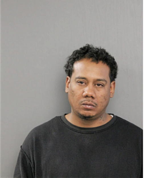 MICHAEL J DAWSON, Cook County, Illinois