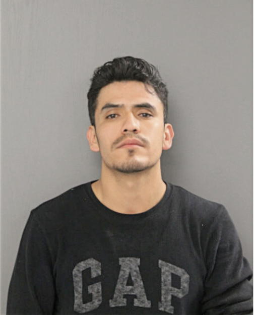 EDGAR EDUARDO DIAZ-SANTANA, Cook County, Illinois