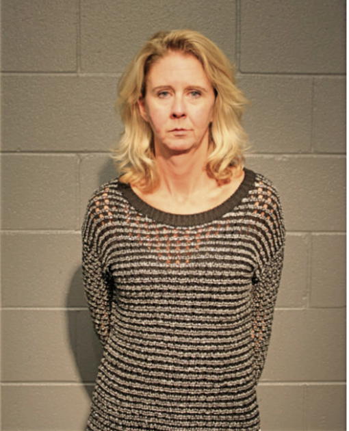 CINDY S FLORA, Cook County, Illinois