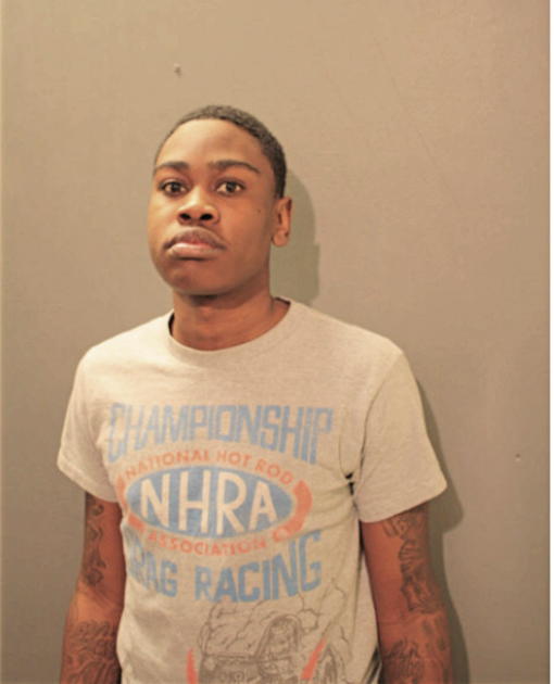 STEPHEN C GARNER, Cook County, Illinois