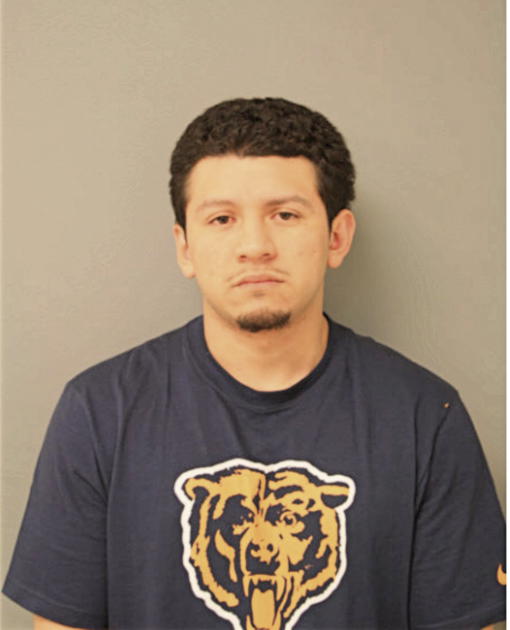 FERNANDO HILARIO, Cook County, Illinois