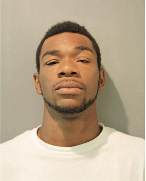 NATHANIEL J JONES, Cook County, Illinois