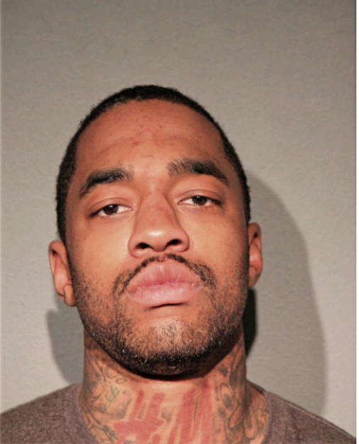 CHRISTOPHER A MCDOWELL, Cook County, Illinois