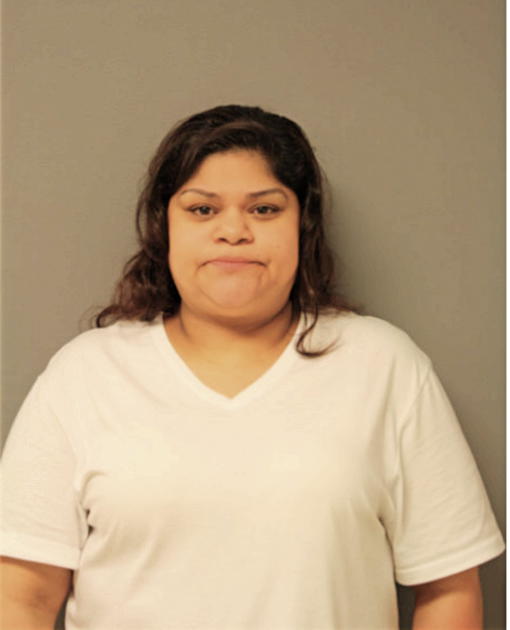 KAREN J MEJIA, Cook County, Illinois