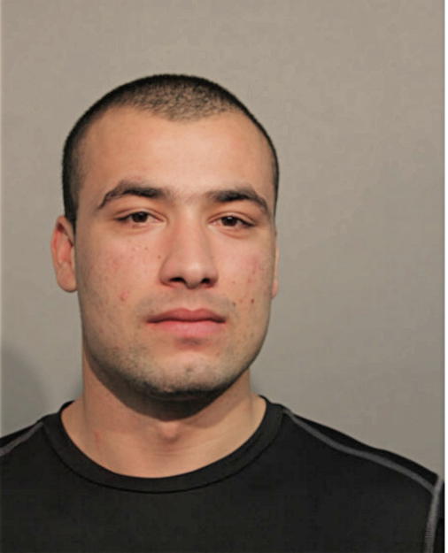 HAROON M MOHAMMAD, Cook County, Illinois