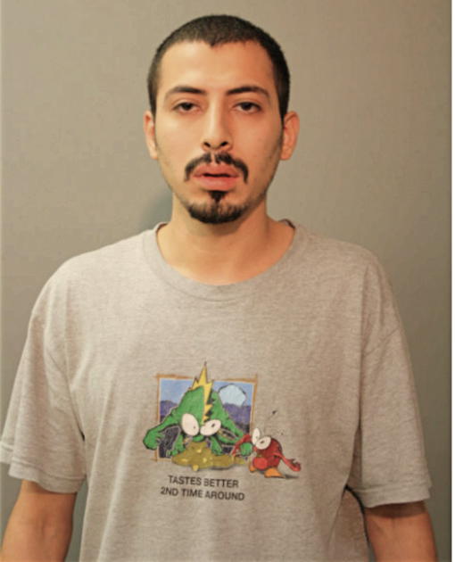 NESTOR E NAVA, Cook County, Illinois
