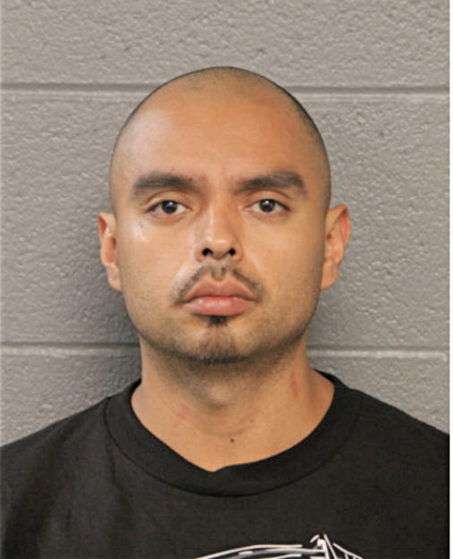 LUIS A REYNOSO, Cook County, Illinois